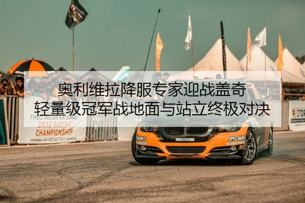 奥利维拉降服专家迎战盖奇 轻量级冠军战地面与站立终极对决