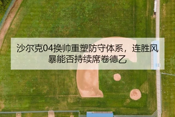 沙尔克04换帅重塑防守体系，连胜风暴能否持续席卷德乙